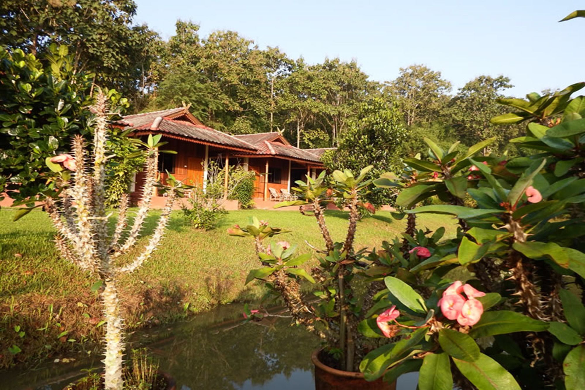 Noks Garden Resort Chiang Rai Exterior photo